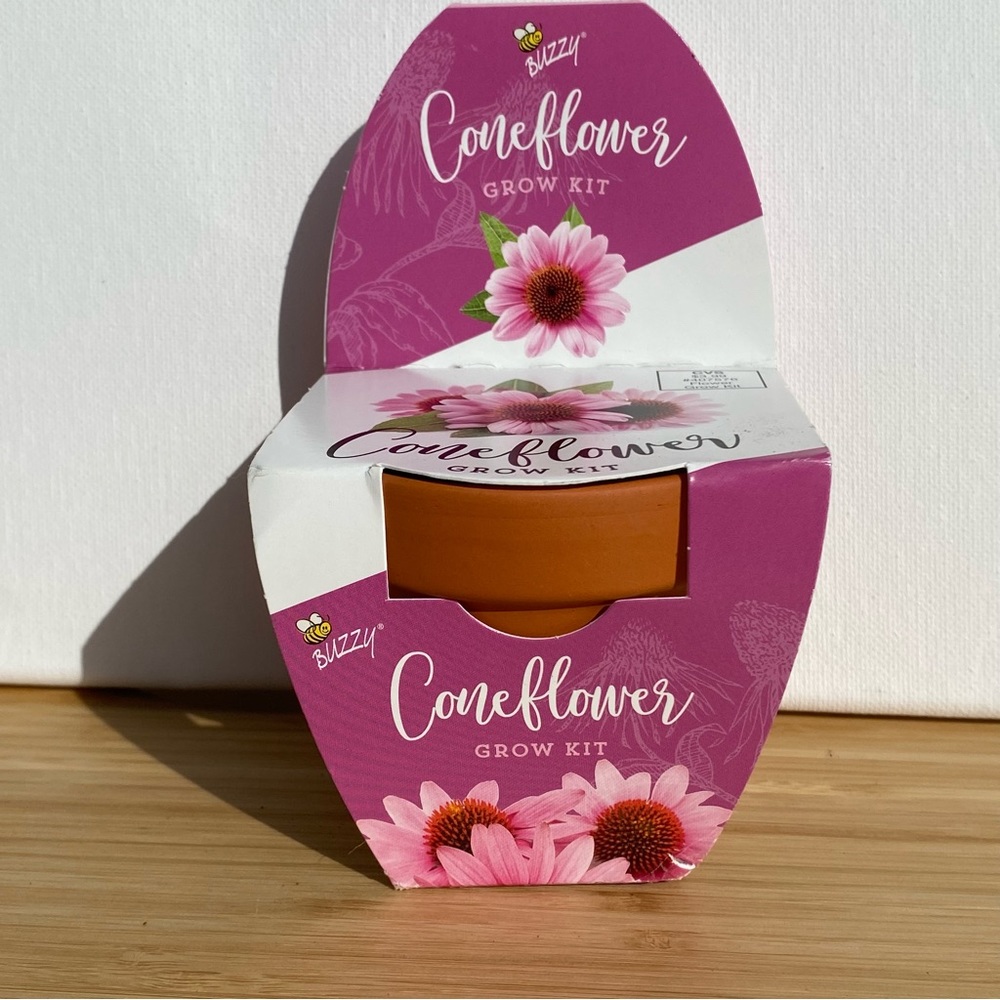 🔥5/$25🔥Buzzy Mini Flower Grow Kit in a Terra Cotta Pot: Coneflower